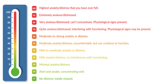 Subjective Units of Distress - Touring and Mental Health